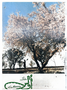 Mahtak Ulus Balochi 1974 April