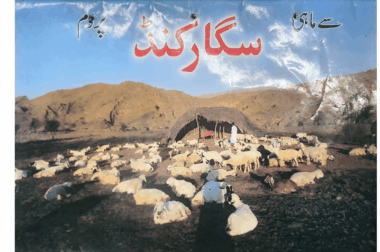 Saigar Kund 2012 October, November and December