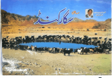 Saigar Kund 2013 April, December